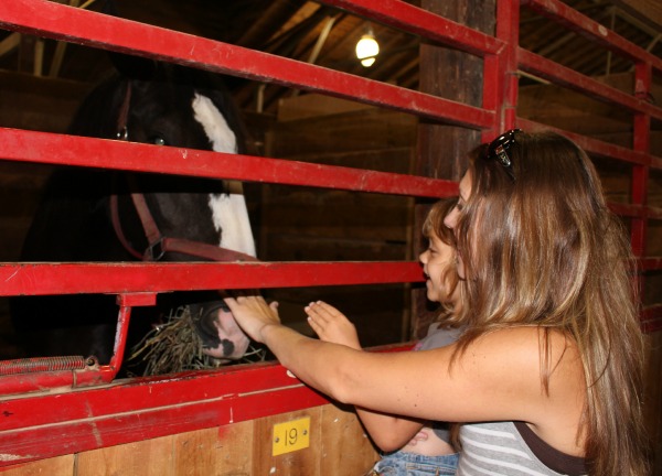 Iowa-State-Fair-Horse-Barn
