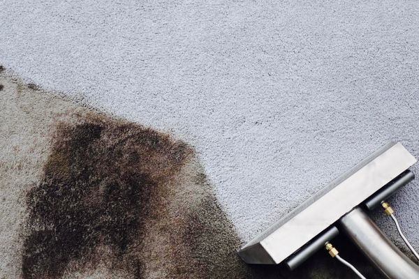 Clean Sweep Carpet Cleaning: A Company You Can Trust | Des Moines Moms Blog