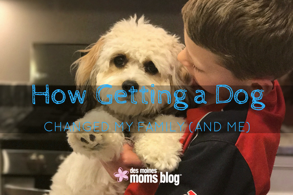 Puppy Love: How Getting a Dog Changed My Family (and Me) | Des Moines Moms Blog