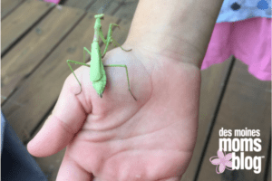 get outside play with kids and bugs