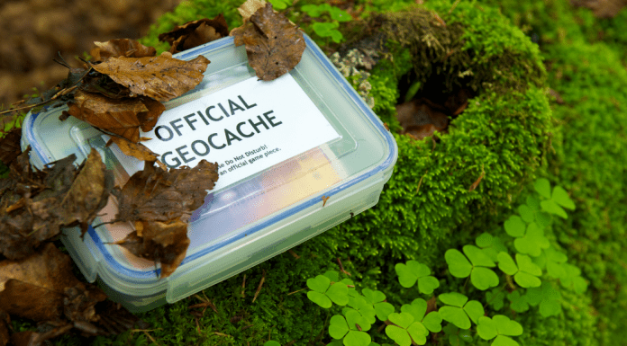 geocache box on moss. Des Moines Mom