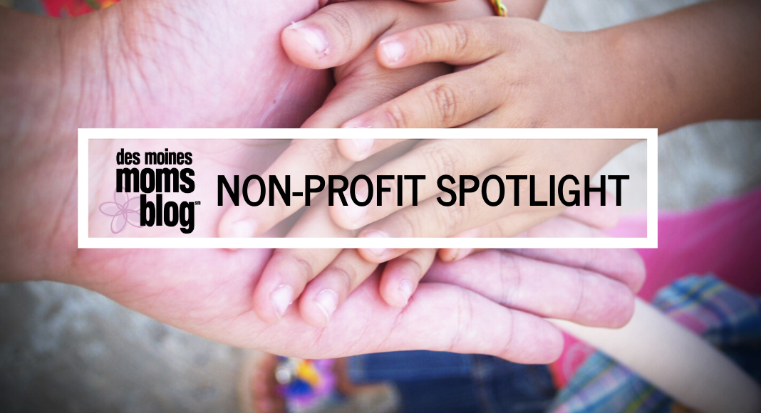 non-profit spotlight