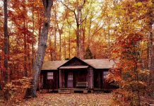 cabin in the woods. Iowa travel. Des Moines Mom
