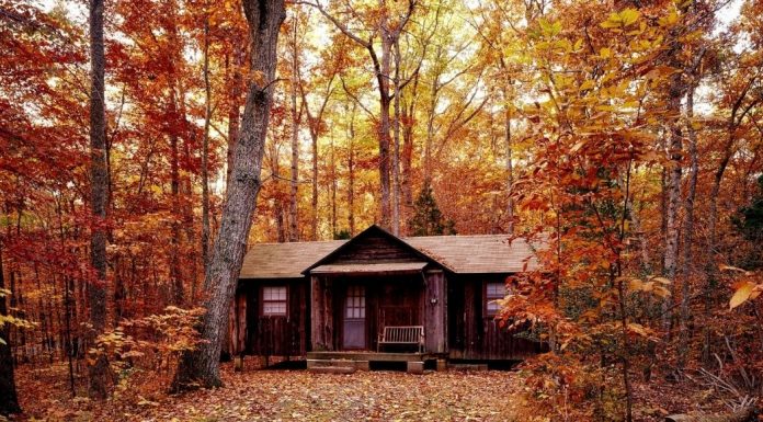 cabin in the woods. Iowa travel. Des Moines Mom