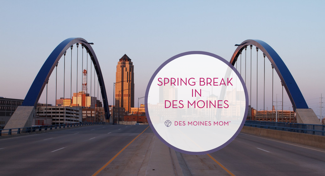 bridge into Des Moines. Des Moines Mom