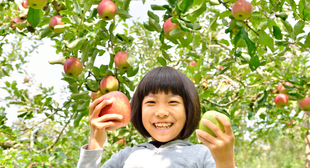 girl holding apples under apple tree